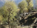 DSC01158