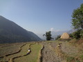 DSC01185