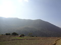 DSC01186
