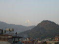 DSC01194