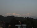 DSC01195