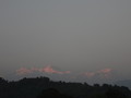 DSC01203