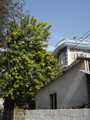 DSC01205