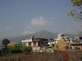 DSC01206