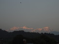 DSC01218