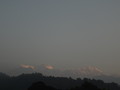 DSC01229