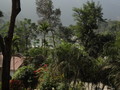DSC01235