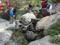 DSC01238