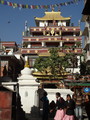 DSC01267