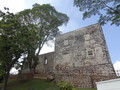 DSC01333