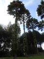 DSC01391